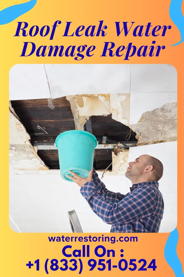 Roof Leak Water Damage Repair in Elaine, AR