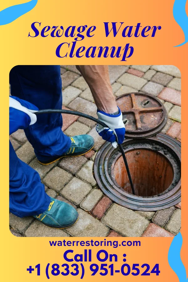 Sewage Water Cleanup in Elaine, AR